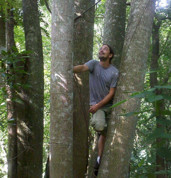 Parota, Pich, conservacion bosques